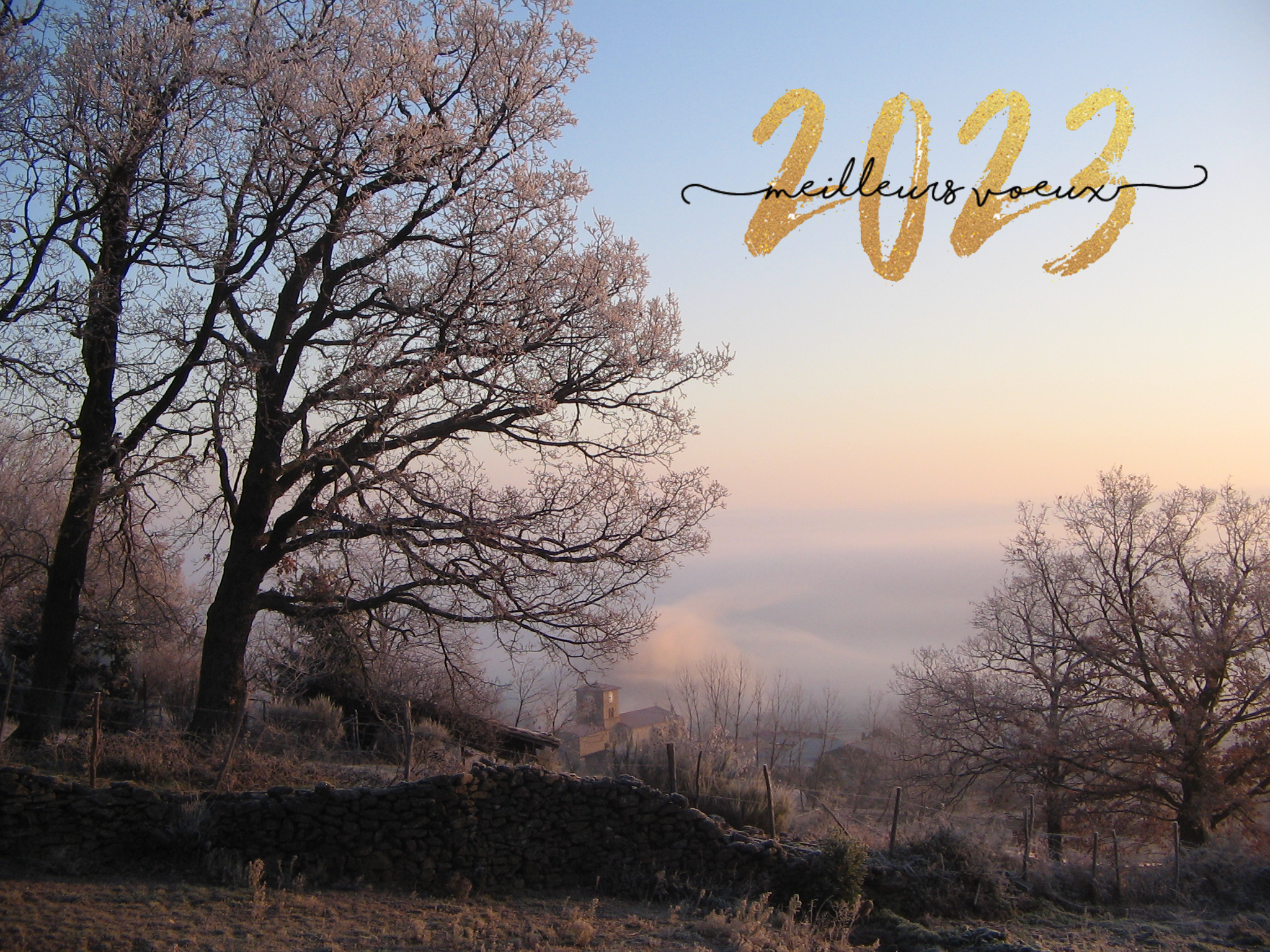2023-01-12 Bonne année 2023 Chuyer