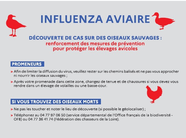 mesure grippe aviaire 2